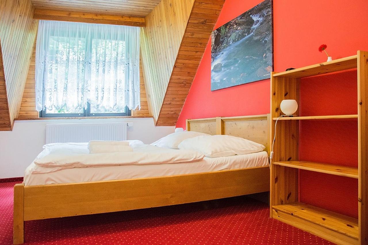 Horsky Hotel Vidly Karlova Studanka Exterior photo