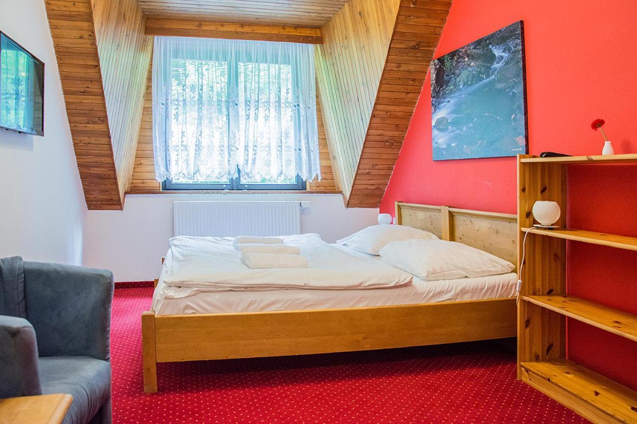 Horsky Hotel Vidly Karlova Studanka Exterior photo